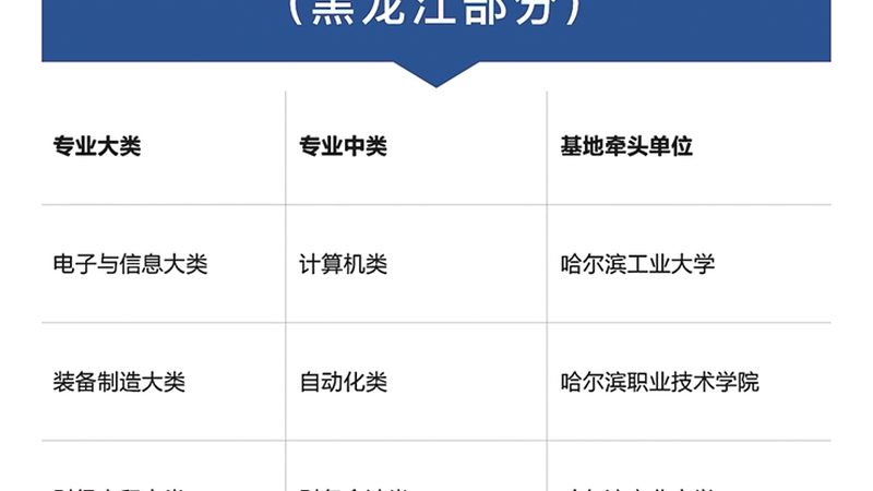 目前，叉车证查询主要通过官方网站进行。以下是一些常见的叉车证查询官网：